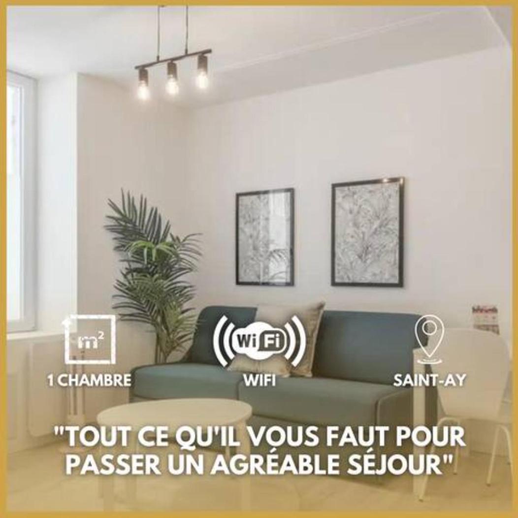 Charme De Loire A St Ay *T2* Leilighet Saint-Ay Eksteriør bilde